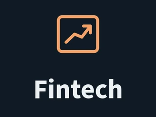 Fintech category: a financial growth chart